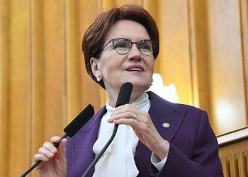 Akşener: Nevruz, katile özgürlük dilenme günü değildir
