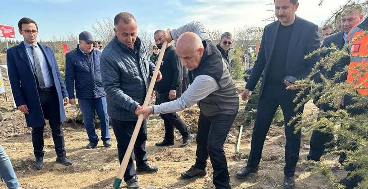 Bakan Kirişci, depremde ölen vatandaşlar için fidan dikti