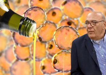 Ezber bozan kolesterol ve zeytinyağı gerçeği! Prof. Dr. Yörükoğlu: Yağlanmayı bitiren 3 yöntem var