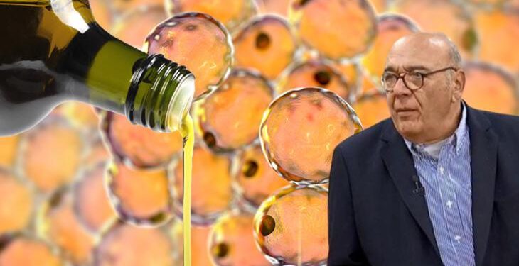 Ezber bozan kolesterol ve zeytinyağı gerçeği! Prof. Dr. Yörükoğlu: Yağlanmayı bitiren 3 yöntem var