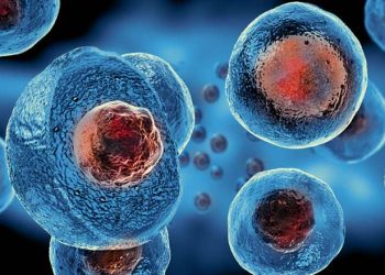 Oruç tutmanın kök hücreler üzerindeki etkisi