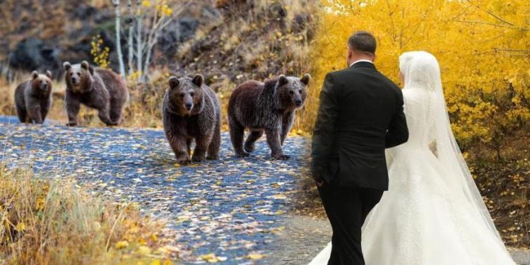 En mutlu günlerini ölümsüzleştirmek istediler! 4 ayı kabusları oldu